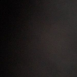 Meet your Posher, Gavin